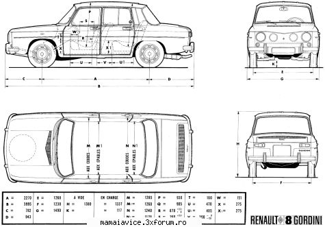 dacia 1100
